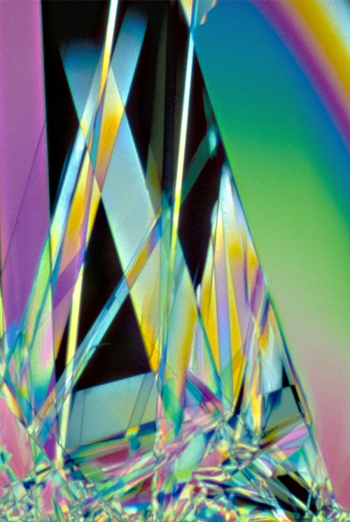 Vitamin B1 crystals under the microscope