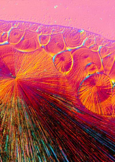 Lichtmikroskopische Aufnahme von Vitamin-B<sub>12</sub>-Kristallen