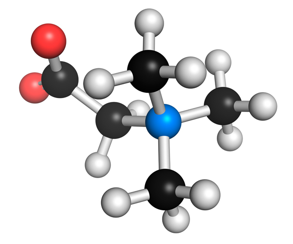 Betain – Regulator des Homocysteinstoffwechsels
