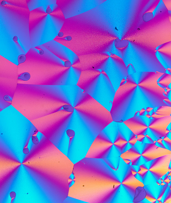 Micrographic image of biotin crystals