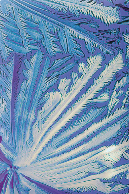 Light microscopic image of magnesium crystals