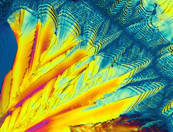Mikrographische Aufnahme von Q<sub>10</sub>-Kristallen